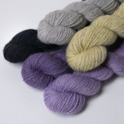 Tannahill 5 x Mini Skein Bundle - Iris - Image 2