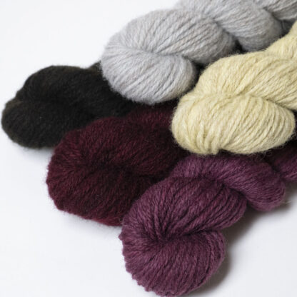 Tannahill 5 x Mini Skein Bundle - Tapestry - Image 2