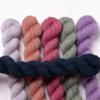 Tannahill six mini skein bundle - Coneflower Eventide (limited edition)