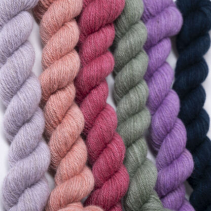 Tannahill six mini skein bundle - Coneflower Eventide (limited edition)