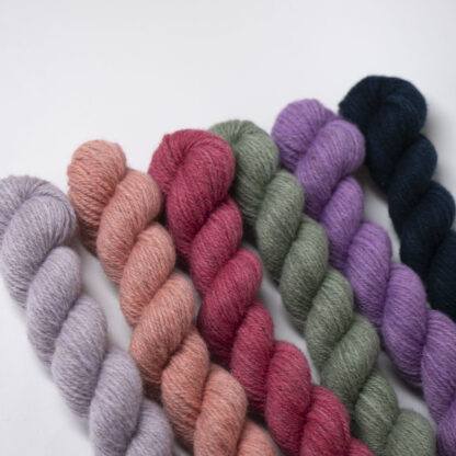 Tannahill six mini skein bundle - Coneflower Eventide (limited edition)