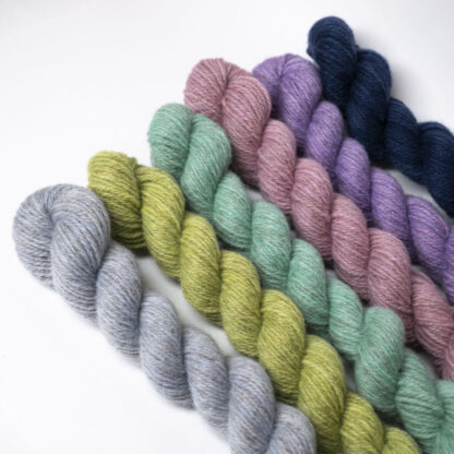 Tannahill six mini skein bundle - Cosmina (limited edition)