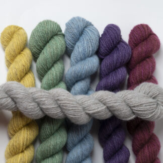 Tannahill six mini skein bundle - Wulfwynn (limited edition)