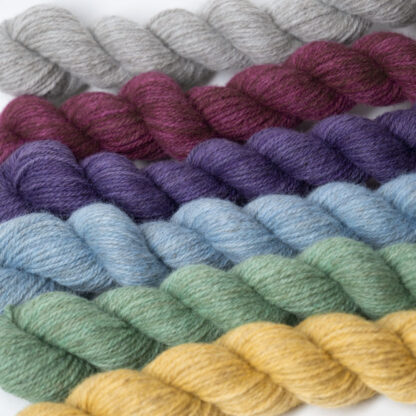 Tannahill six mini skein bundle - Wulfwynn (limited edition)